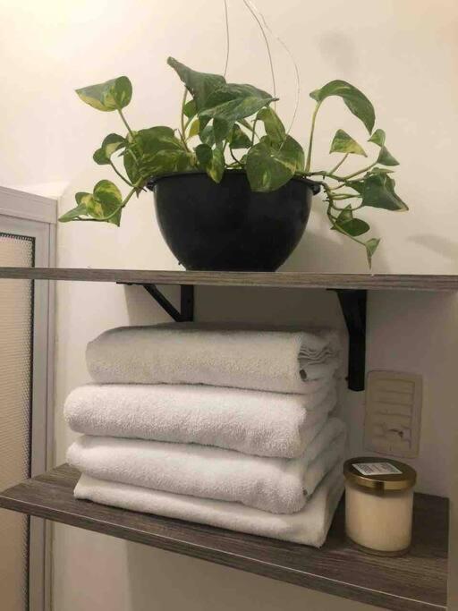 Comfortable And Private House 2 Bedrooms Wifi Parking Free Monterrey Exterior photo